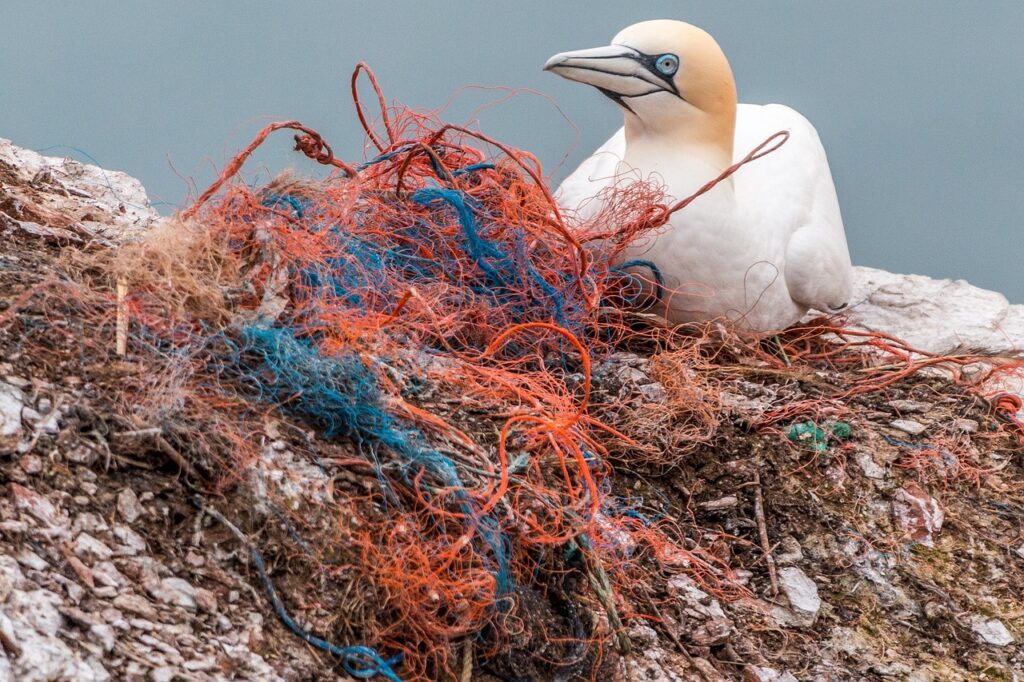 Office Chair Made from Recycled Fishing Nets