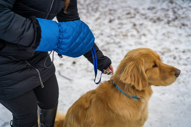 Leash Mitten